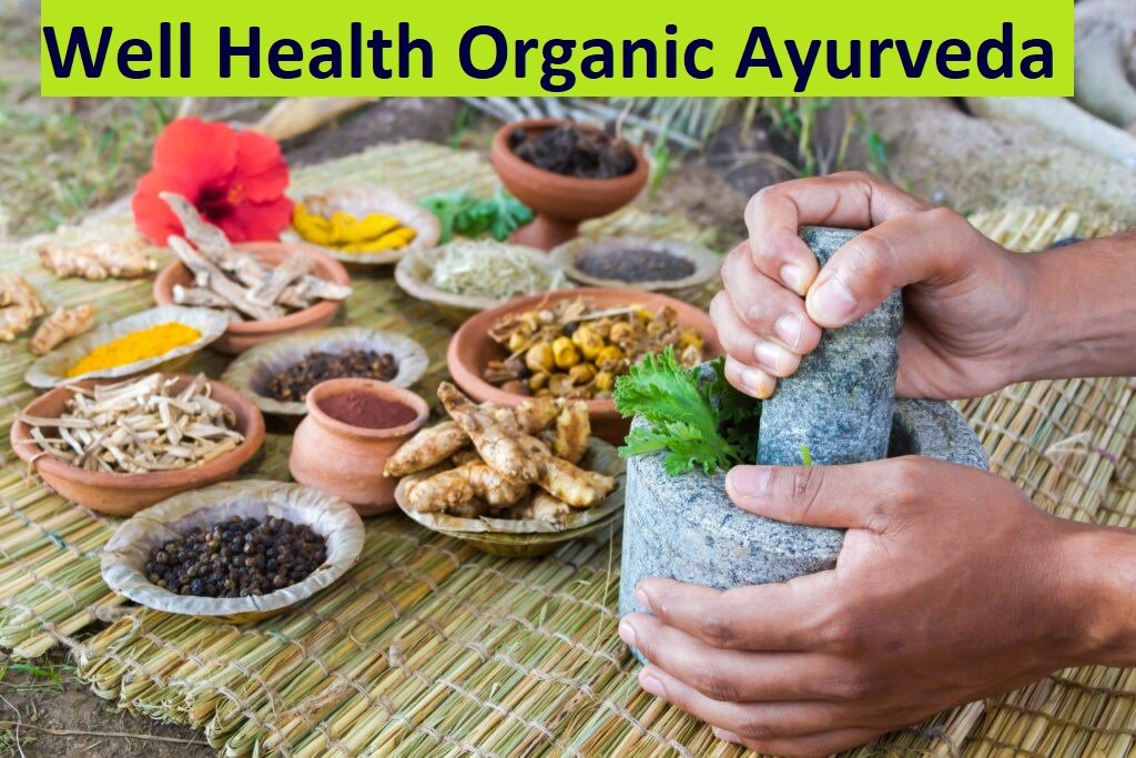 Well Health Organic Ayurveda